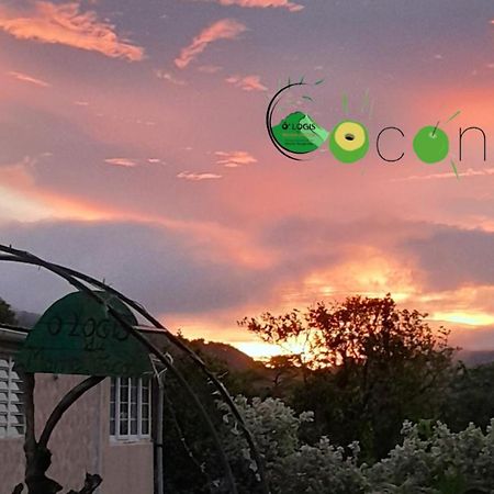 O Logis Du Morne Jacob "Coco", Le Morne-Rouge Martiniqueアパートメント エクステリア 写真