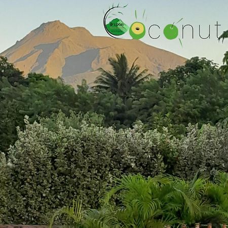O Logis Du Morne Jacob "Coco", Le Morne-Rouge Martiniqueアパートメント エクステリア 写真