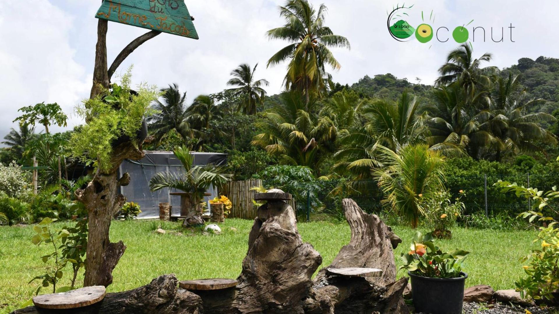 O Logis Du Morne Jacob "Coco", Le Morne-Rouge Martiniqueアパートメント エクステリア 写真