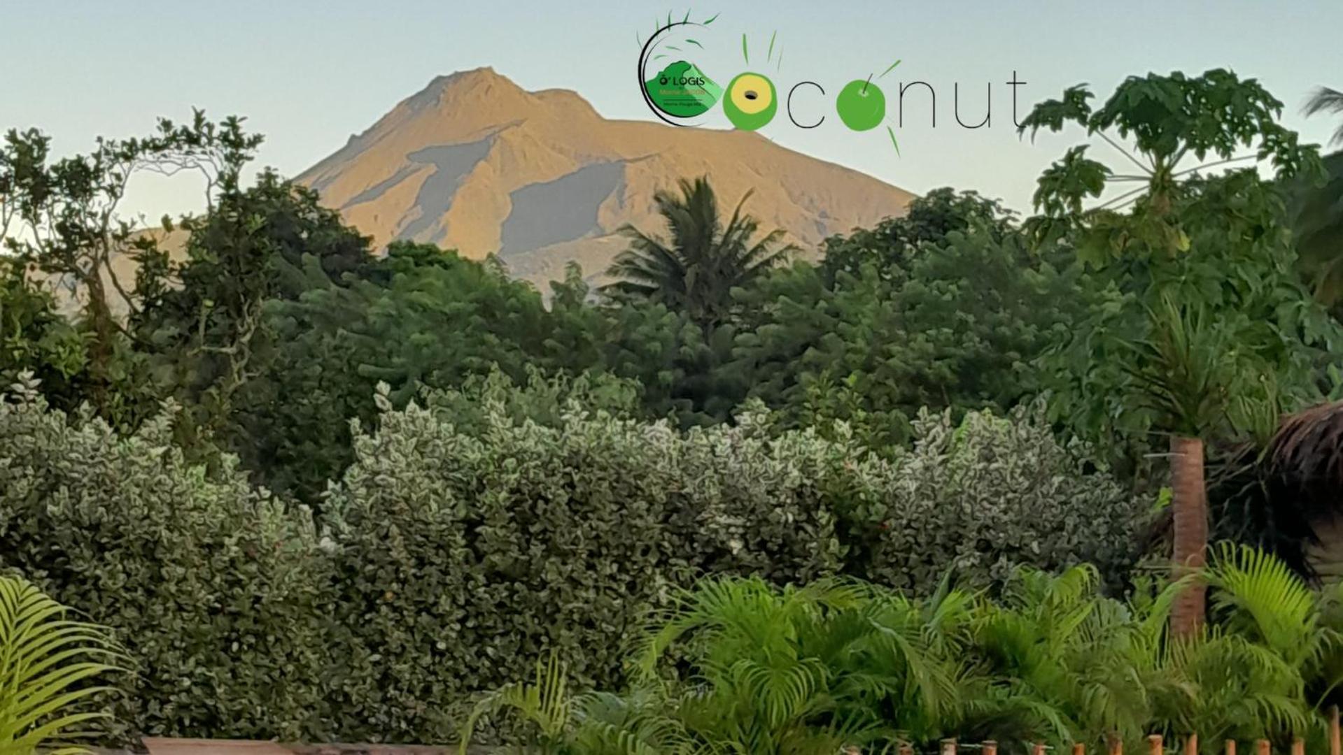 O Logis Du Morne Jacob "Coco", Le Morne-Rouge Martiniqueアパートメント エクステリア 写真