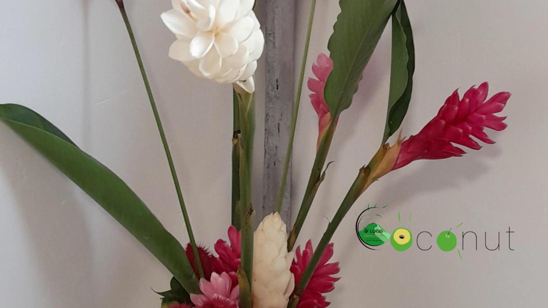 O Logis Du Morne Jacob "Coco", Le Morne-Rouge Martiniqueアパートメント エクステリア 写真